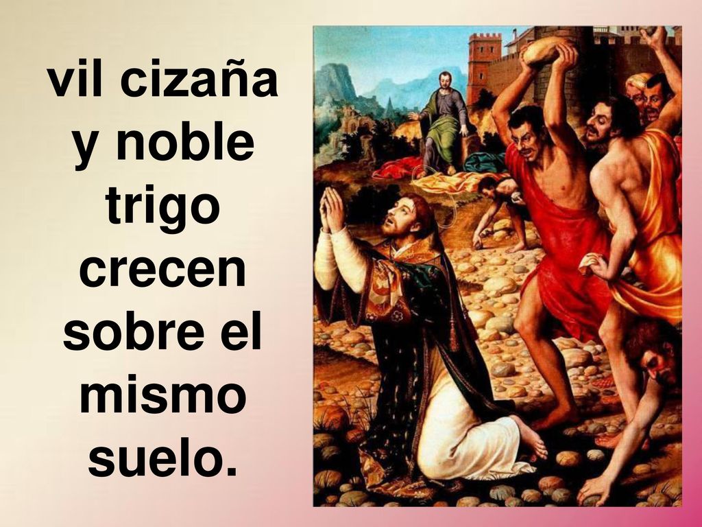 vil cizaña y noble trigo crecen sobre el mismo suelo.
