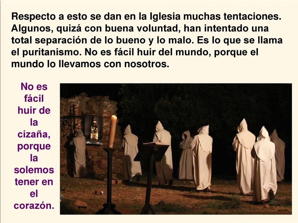 No es fácil huir de la cizaña, porque la solemos tener en el corazón.
