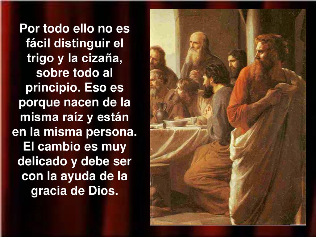 Por todo ello no es fácil distinguir el trigo y la cizaña, sobre todo al principio.