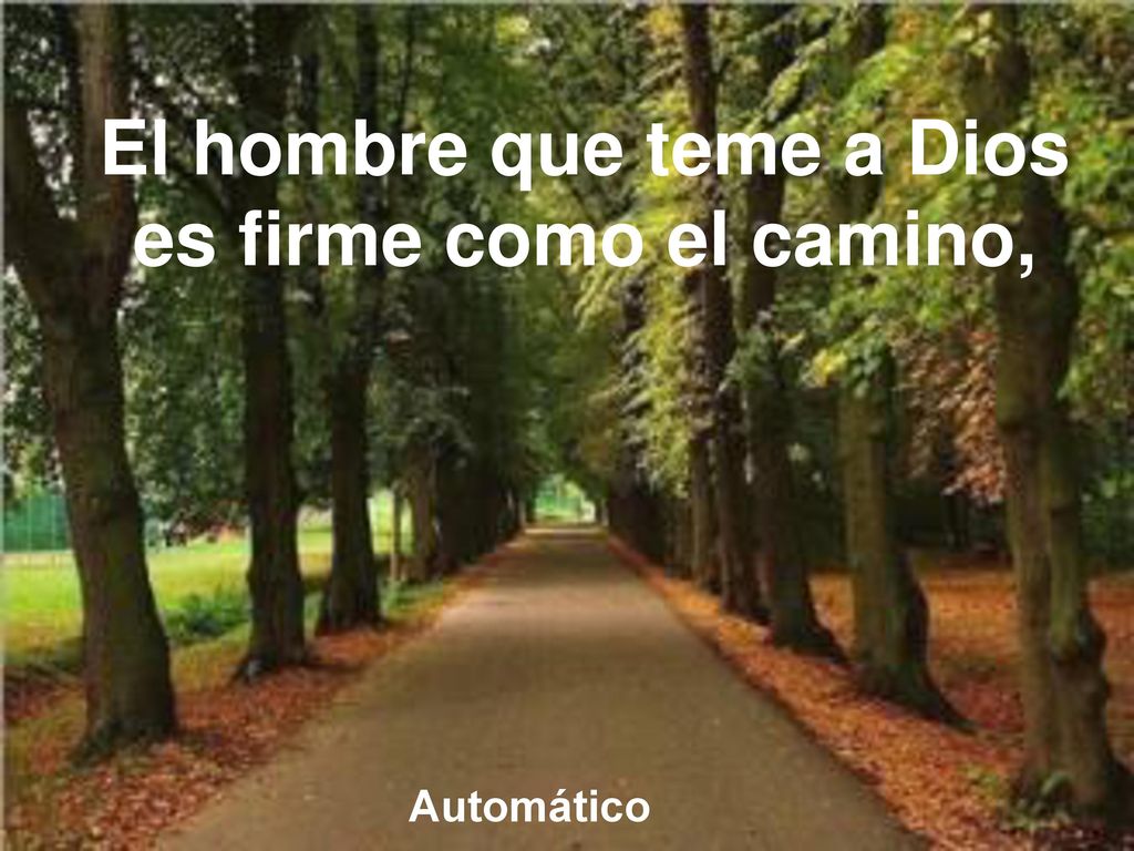 El hombre que teme a Dios es firme como el camino,