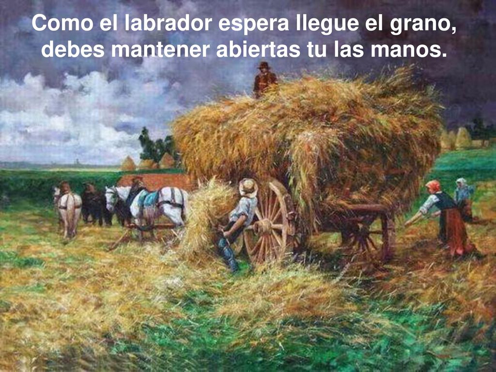 Como el labrador espera llegue el grano, debes mantener abiertas tu las manos.