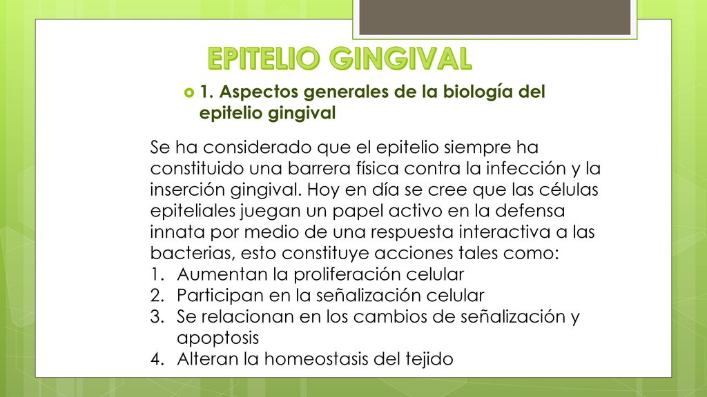 EPITELIO GINGIVAL 1. Aspectos generales de la biología del epitelio gingival.