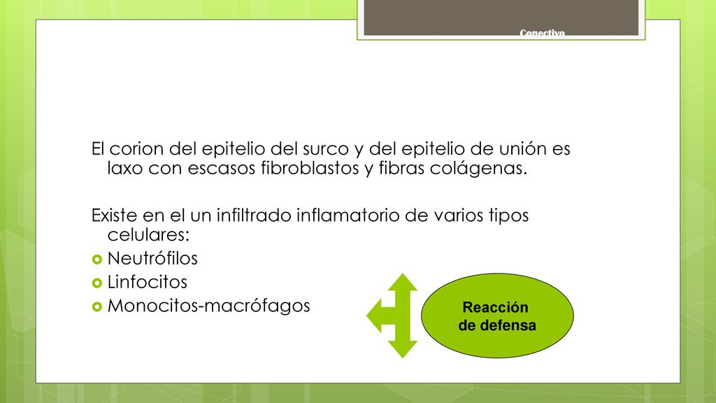 Existe en el un infiltrado inflamatorio de varios tipos celulares: