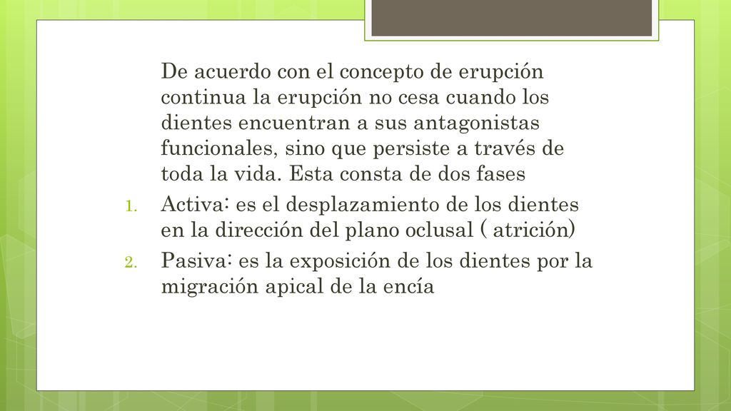 De acuerdo con el concepto de erupción continua la erupción no cesa cuando los dientes encuentran a sus antagonistas funcionales, sino que persiste a través de toda la vida. Esta consta de dos fases