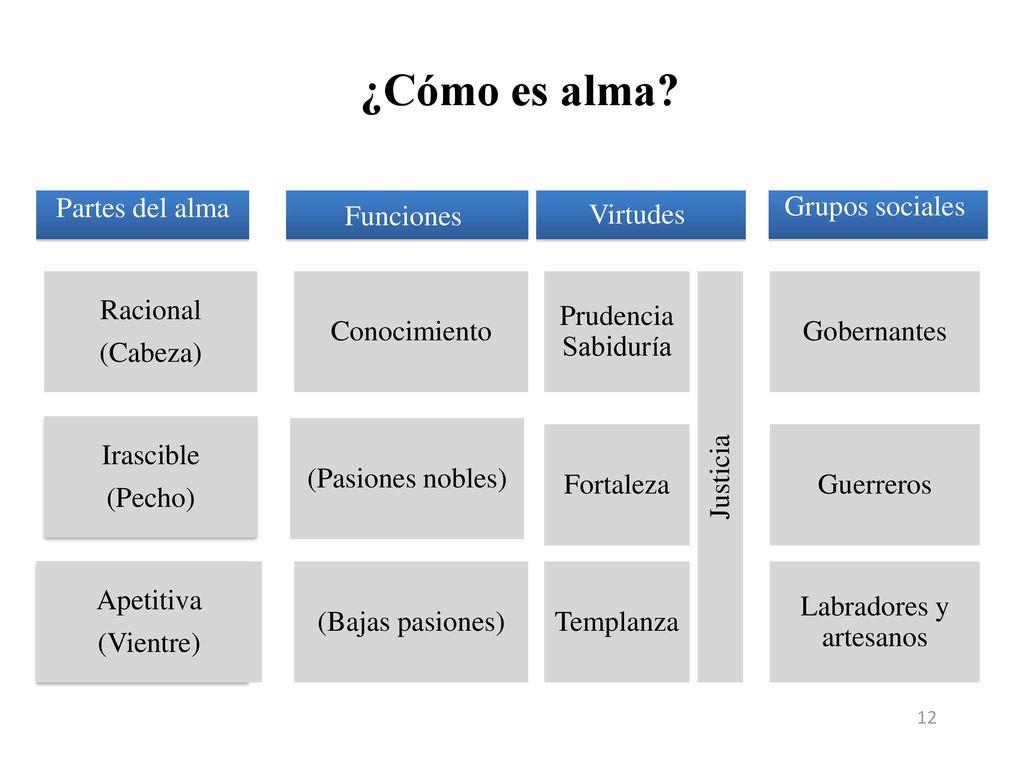 ¿Cómo es alma Razonamiento matemático Grupos sociales Partes del alma