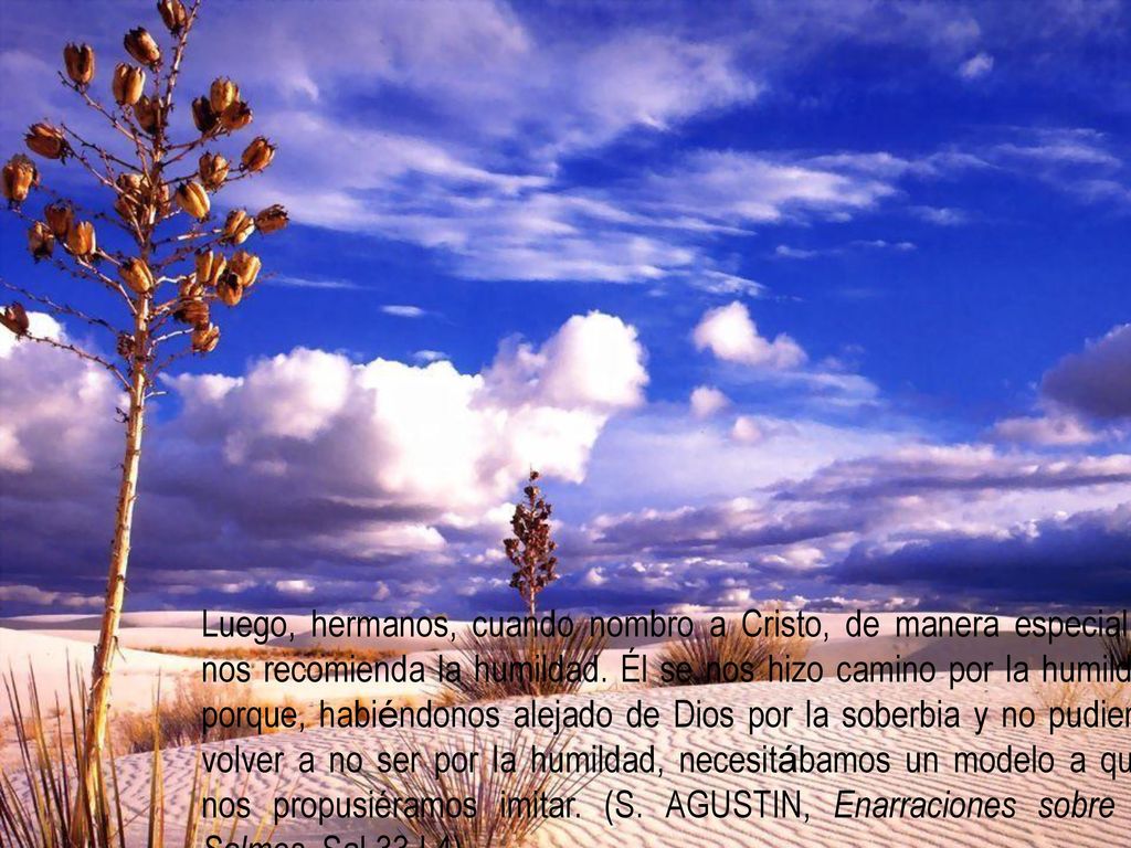 Luego, hermanos, cuando nombro a Cristo, de manera especial se nos recomienda la humildad.