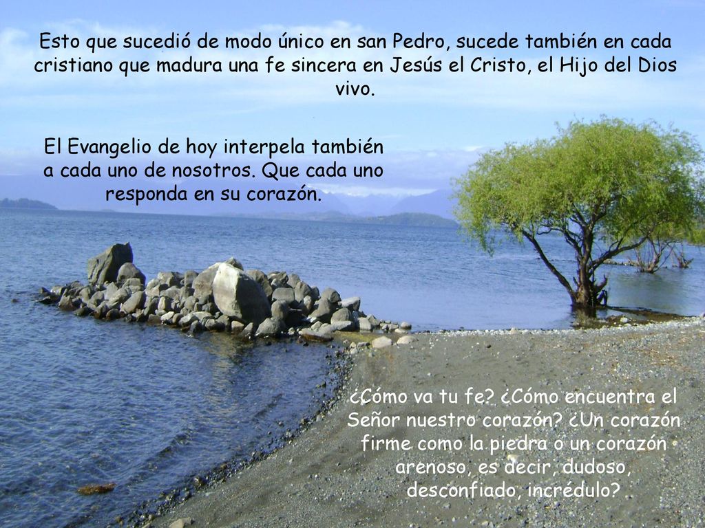 Esto que sucedió de modo único en san Pedro, sucede también en cada cristiano que madura una fe sincera en Jesús el Cristo, el Hijo del Dios vivo.