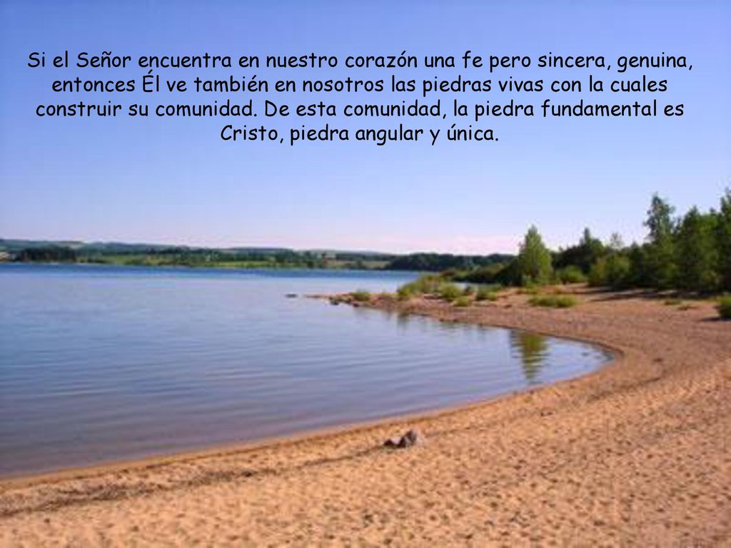 Si el Señor encuentra en nuestro corazón una fe pero sincera, genuina, entonces Él ve también en nosotros las piedras vivas con la cuales construir su comunidad.