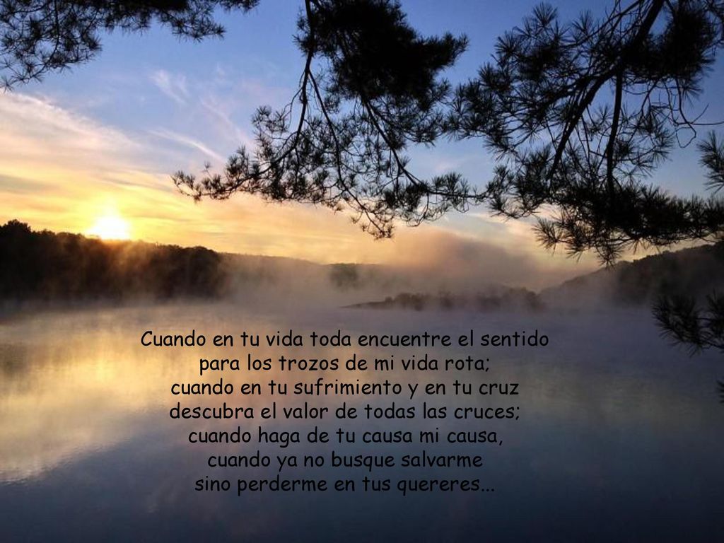 Cuando en tu vida toda encuentre el sentido para los trozos de mi vida rota; cuando en tu sufrimiento y en tu cruz descubra el valor de todas las cruces; cuando haga de tu causa mi causa, cuando ya no busque salvarme sino perderme en tus quereres...