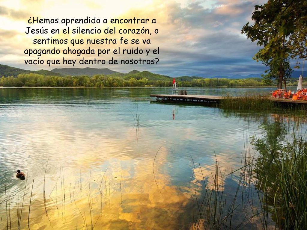 ¿Hemos aprendido a encontrar a Jesús en el silencio del corazón, o sentimos que nuestra fe se va apagando ahogada por el ruido y el vacío que hay dentro de nosotros