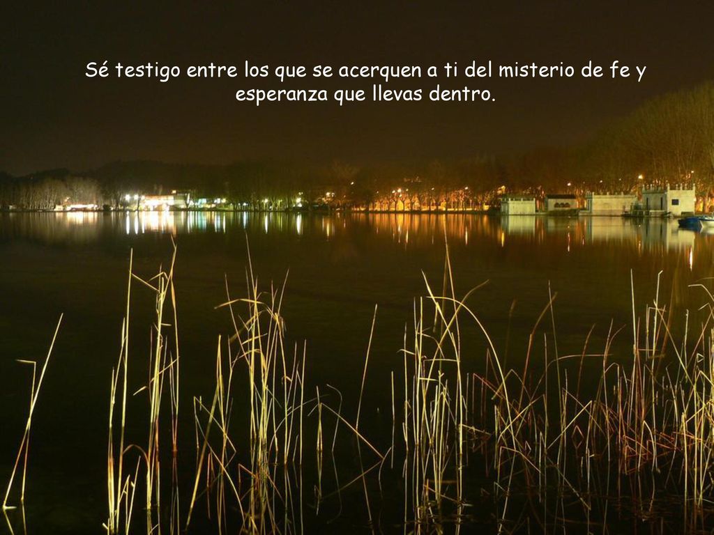 Sé testigo entre los que se acerquen a ti del misterio de fe y esperanza que llevas dentro.