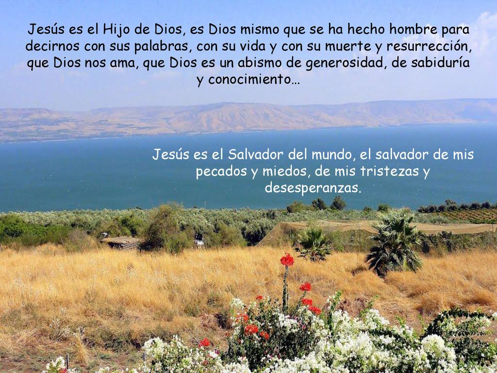 Jesús es el Hijo de Dios, es Dios mismo que se ha hecho hombre para decirnos con sus palabras, con su vida y con su muerte y resurrección, que Dios nos ama, que Dios es un abismo de generosidad, de sabiduría y conocimiento…
