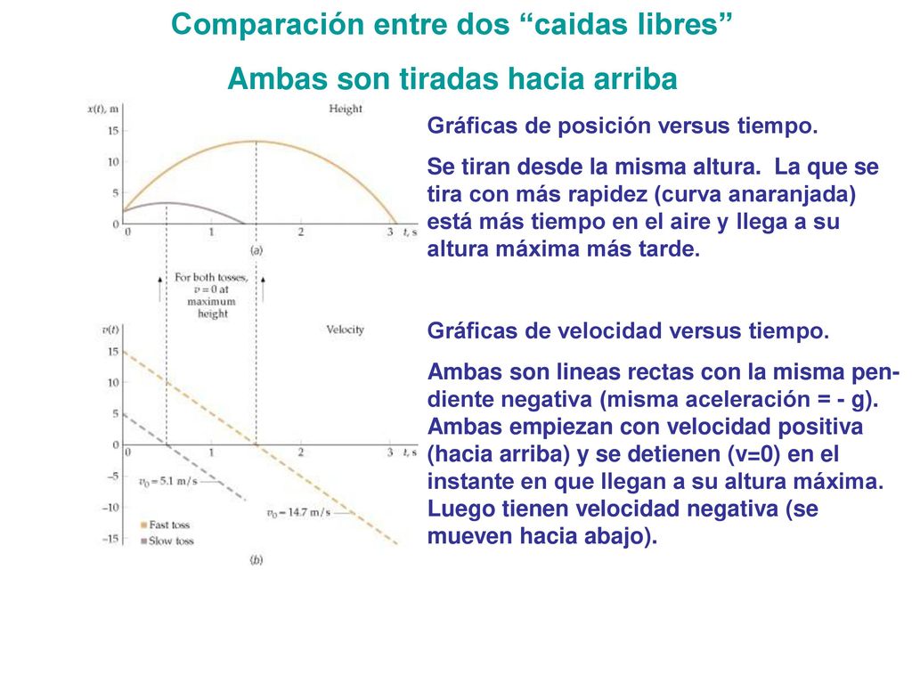 Comparación entre dos caidas libres Ambas son tiradas hacia arriba