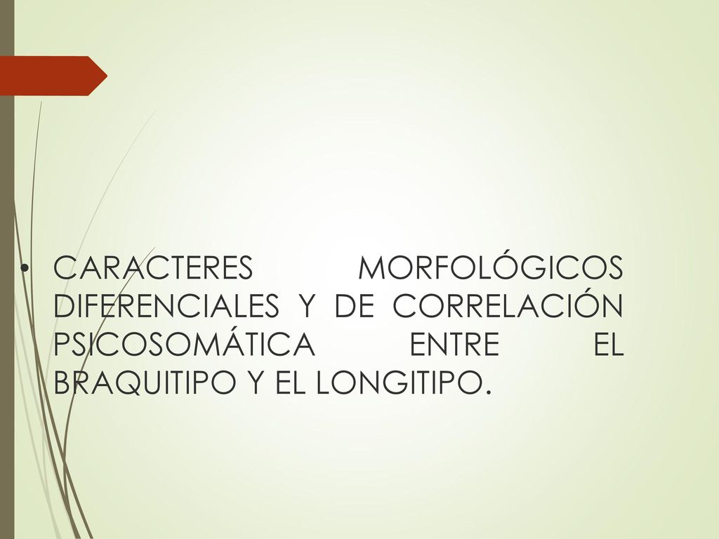 CARACTERES MORFOLÓGICOS DIFERENCIALES Y DE CORRELACIÓN PSICOSOMÁTICA ENTRE EL BRAQUITIPO Y EL LONGITIPO.