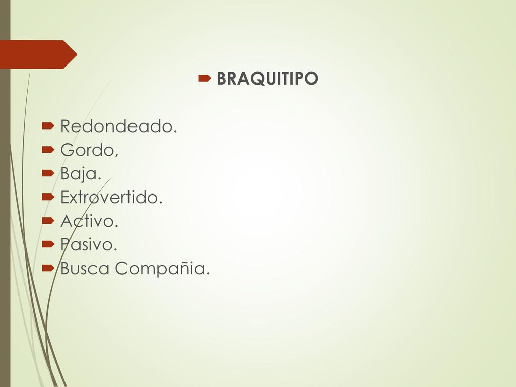 BRAQUITIPO Redondeado. Gordo, Baja. Extrovertido. Activo. Pasivo.