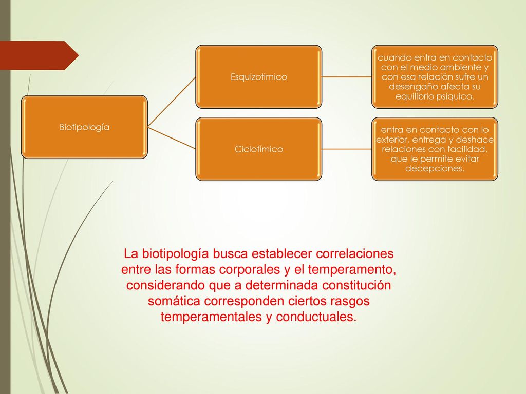 Biotipología Esquizotimico. cuando entra en contacto con el medio ambiente y con esa relación sufre un desengaño afecta su equilibrio psíquico.