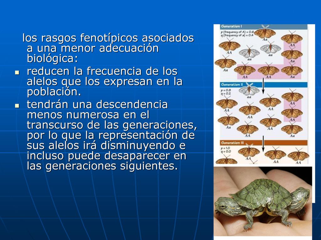 los rasgos fenotípicos asociados a una menor adecuación biológica:
