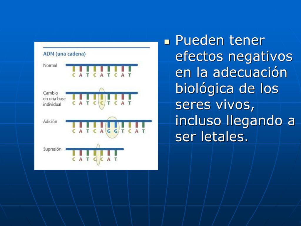 Pueden tener efectos negativos en la adecuación biológica de los seres vivos, incluso llegando a ser letales.