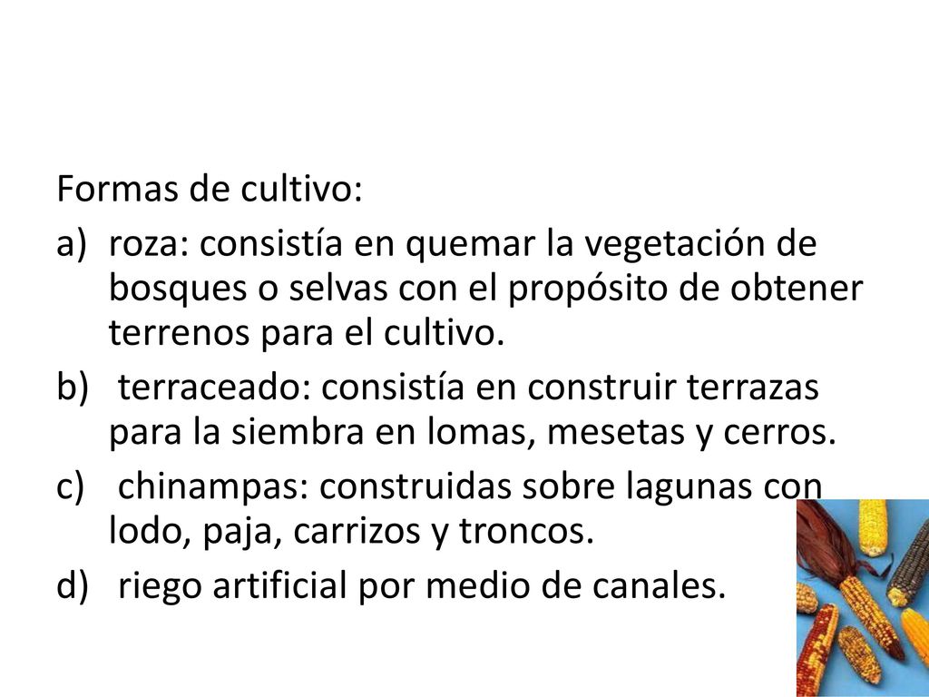 Formas de cultivo: roza: consistía en quemar la vegetación de bosques o selvas con el propósito de obtener terrenos para el cultivo.