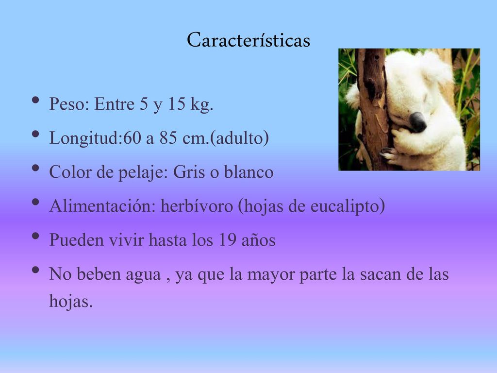 Características Peso: Entre 5 y 15 kg. Longitud:60 a 85 cm.(adulto)