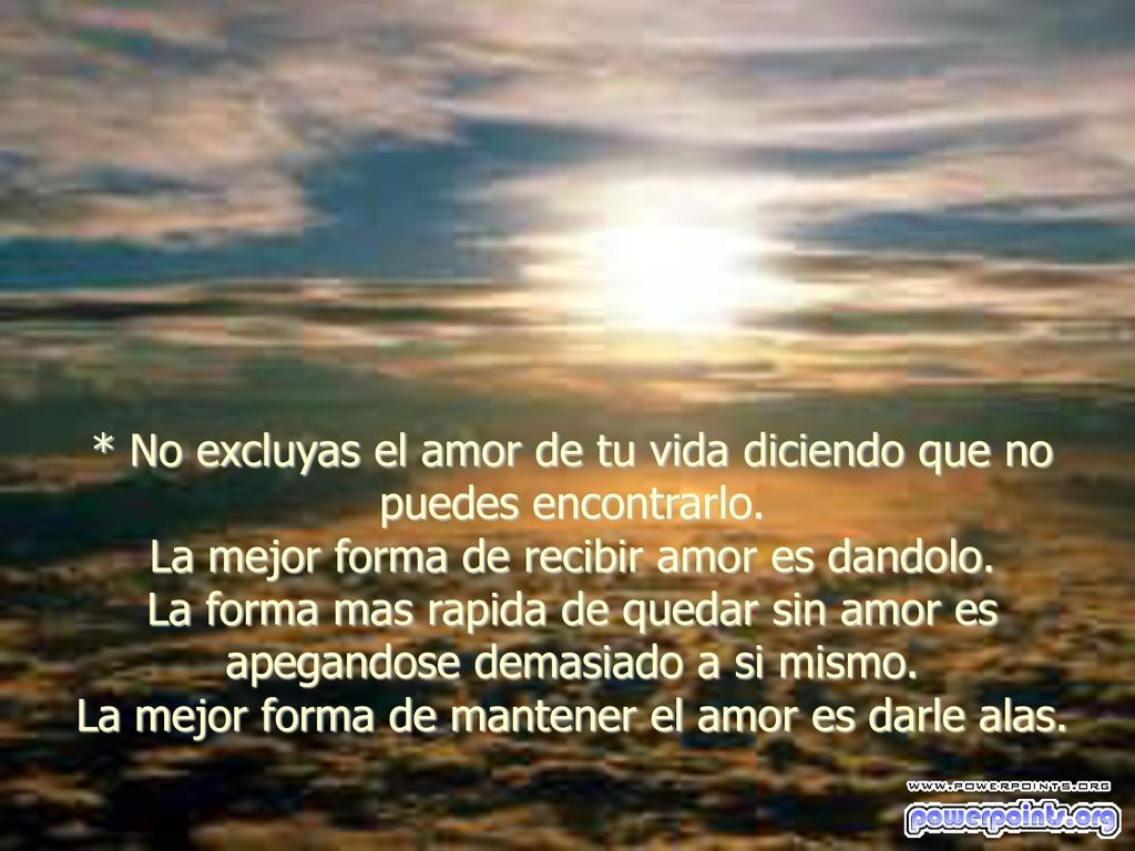 * No excluyas el amor de tu vida diciendo que no puedes encontrarlo.