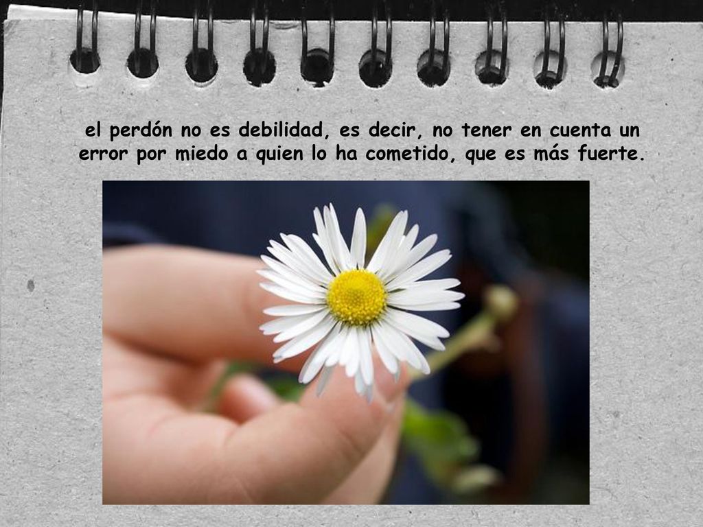 el perdón no es debilidad, es decir, no tener en cuenta un error por miedo a quien lo ha cometido, que es más fuerte.