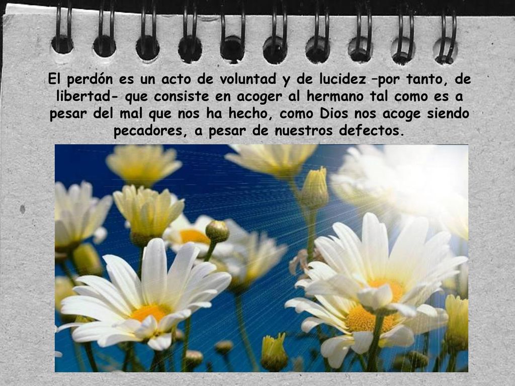 El perdón es un acto de voluntad y de lucidez –por tanto, de libertad- que consiste en acoger al hermano tal como es a pesar del mal que nos ha hecho, como Dios nos acoge siendo pecadores, a pesar de nuestros defectos.