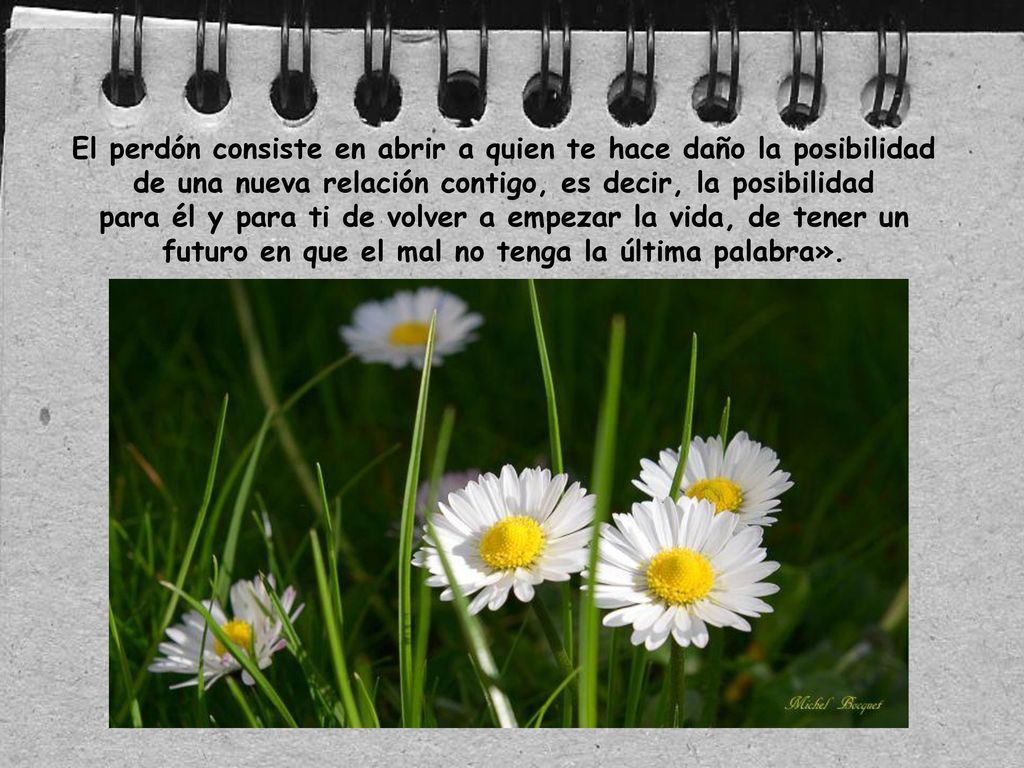 El perdón consiste en abrir a quien te hace daño la posibilidad de una nueva relación contigo, es decir, la posibilidad para él y para ti de volver a empezar la vida, de tener un futuro en que el mal no tenga la última palabra».