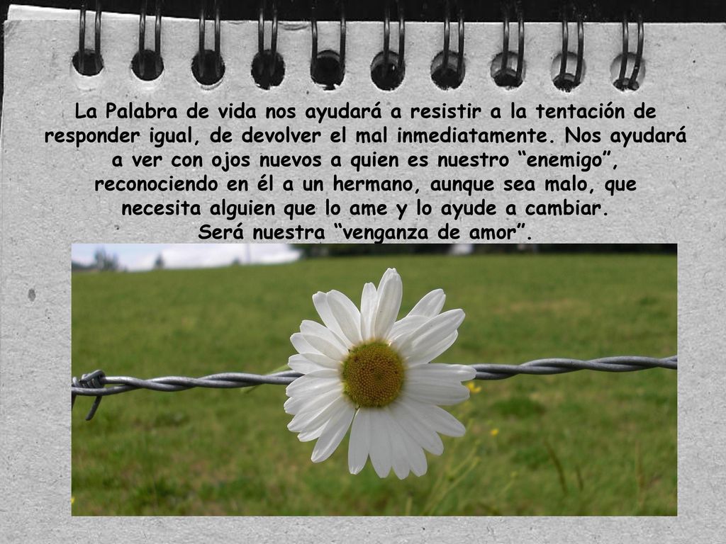 La Palabra de vida nos ayudará a resistir a la tentación de responder igual, de devolver el mal inmediatamente.