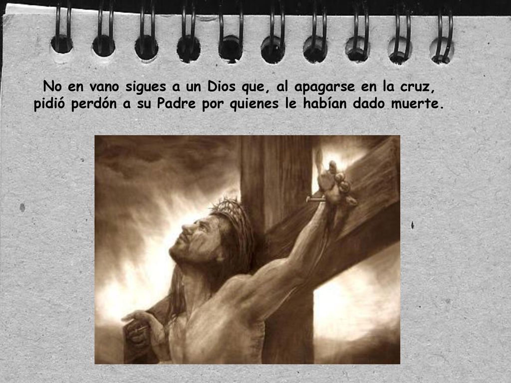 No en vano sigues a un Dios que, al apagarse en la cruz, pidió perdón a su Padre por quienes le habían dado muerte.