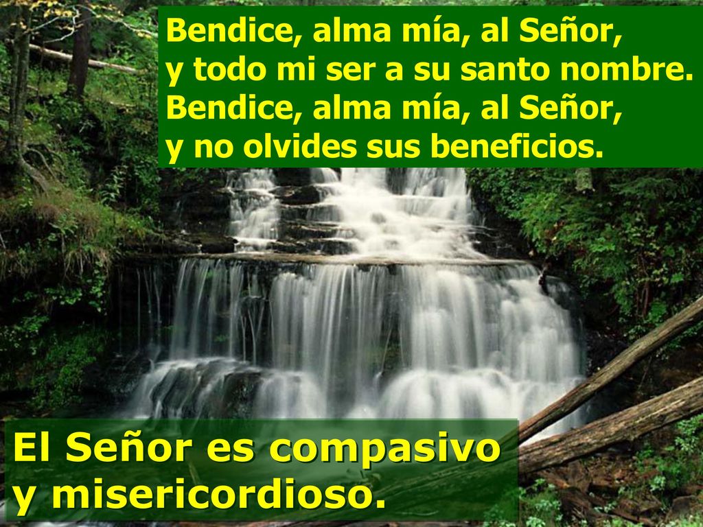 El Señor es compasivo y misericordioso.