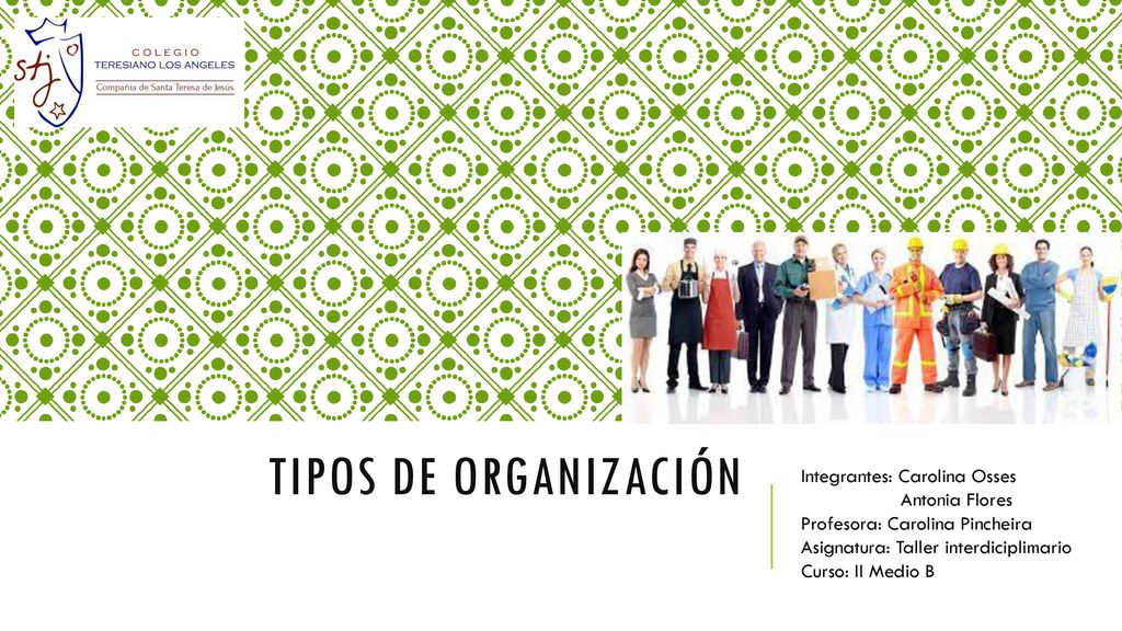 Tipos de organización Integrantes: Carolina Osses Antonia Flores