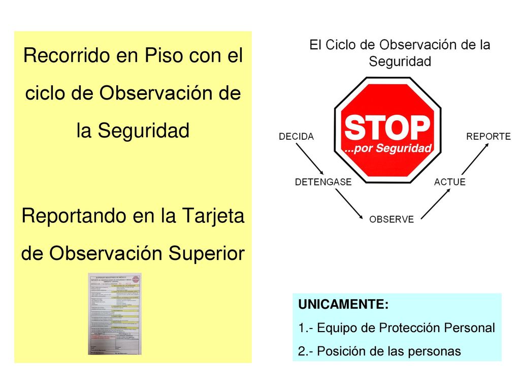 Recorrido en Piso con el ciclo de Observación de la Seguridad