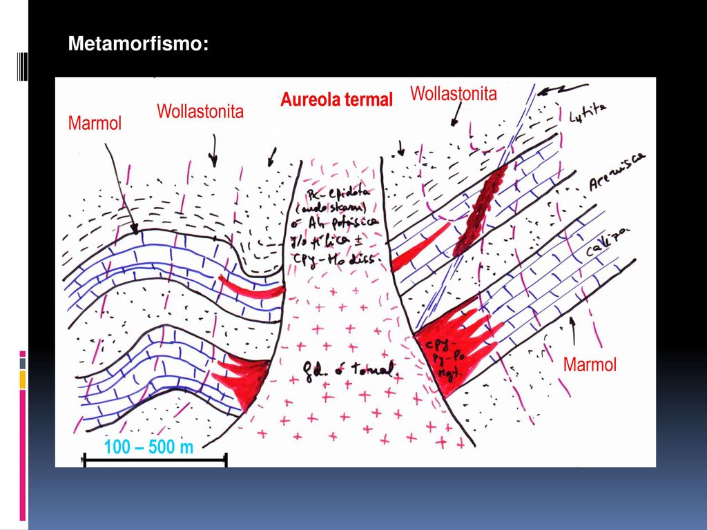 Metamorfismo: 100 – 500 m Granate y piroxeno Wollastonita Marmol Aureola termal