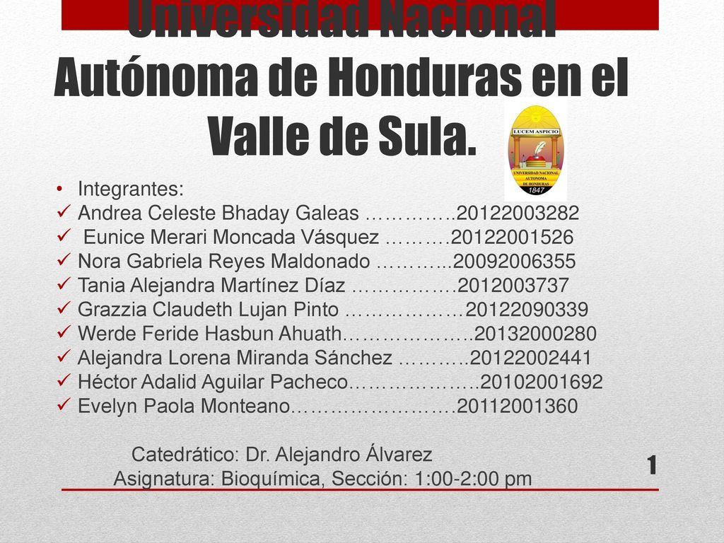 Universidad Nacional Autónoma de Honduras en el Valle de Sula.
