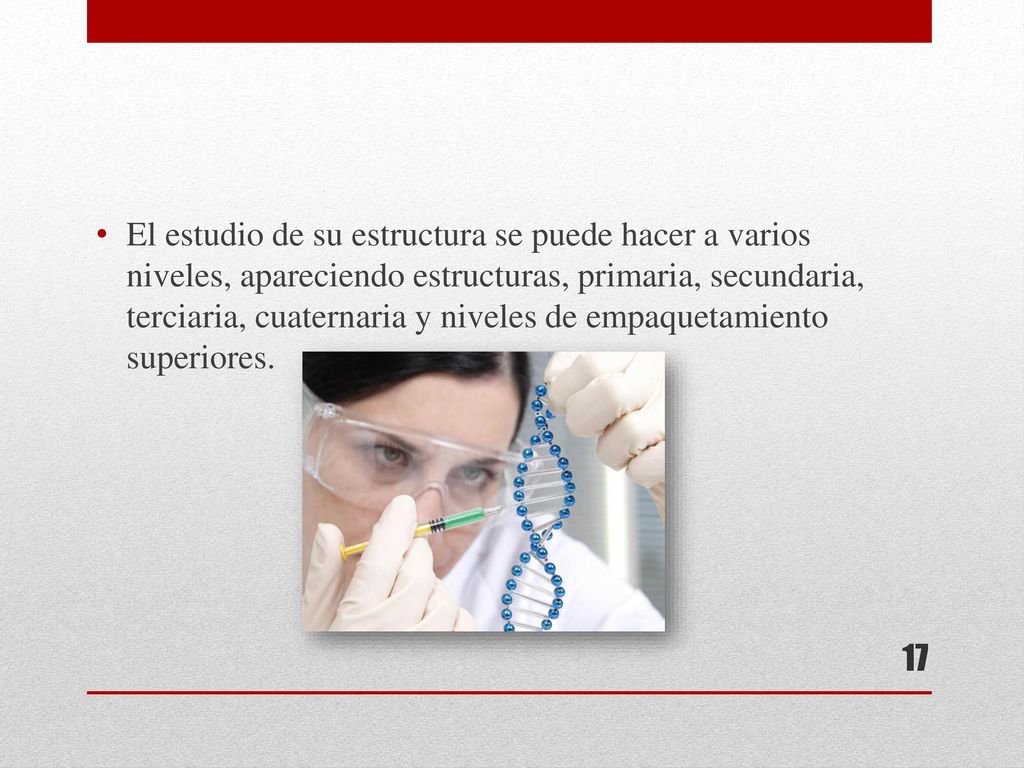 El estudio de su estructura se puede hacer a varios niveles, apareciendo estructuras, primaria, secundaria, terciaria, cuaternaria y niveles de empaquetamiento superiores.