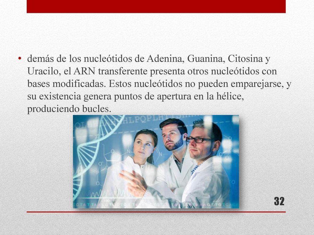 demás de los nucleótidos de Adenina, Guanina, Citosina y Uracilo, el ARN transferente presenta otros nucleótidos con bases modificadas.