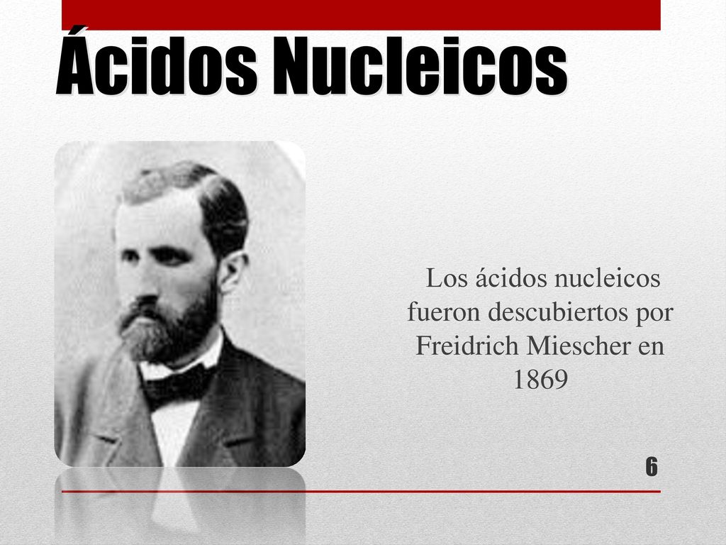 Ácidos Nucleicos Los ácidos nucleicos fueron descubiertos por Freidrich Miescher en 1869