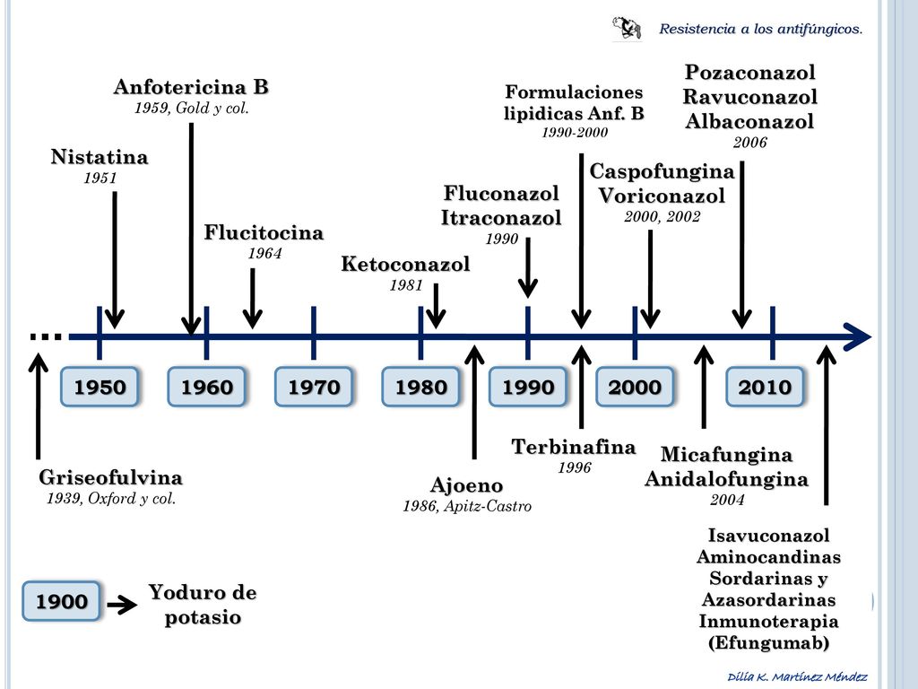 Formulaciones lipidicas Anf. B Sordarinas y Azasordarinas