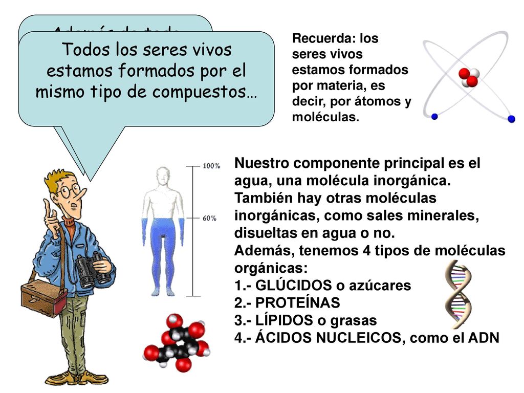 Además de todo esto, todos los seres vivos tenemos más cosas en común…