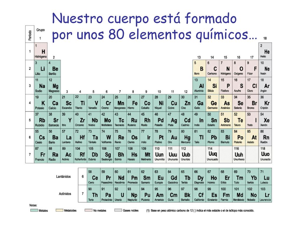 Nuestro cuerpo está formado por unos 80 elementos químicos…