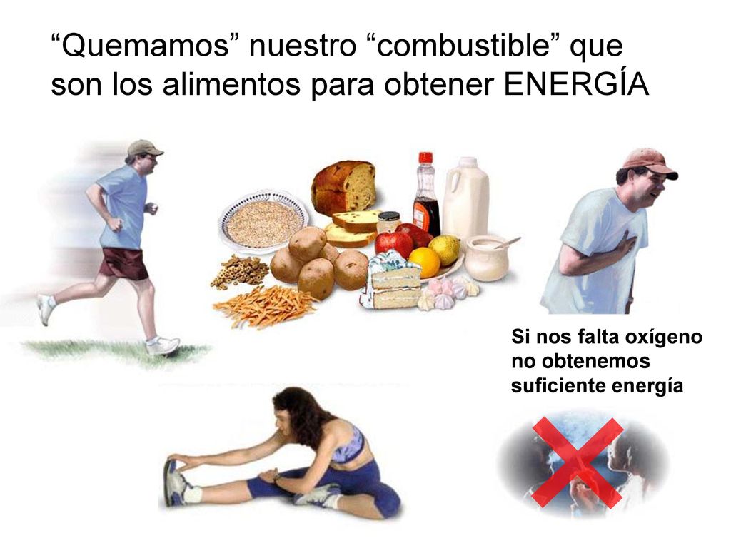 Quemamos nuestro combustible que son los alimentos para obtener ENERGÍA