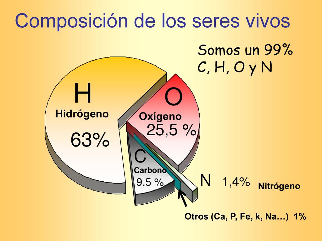 H O Composición de los seres vivos 63% C 25,5 % N 1,4%