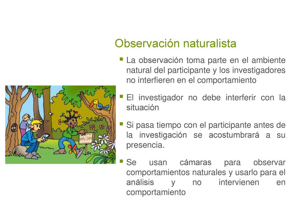 Observación naturalista