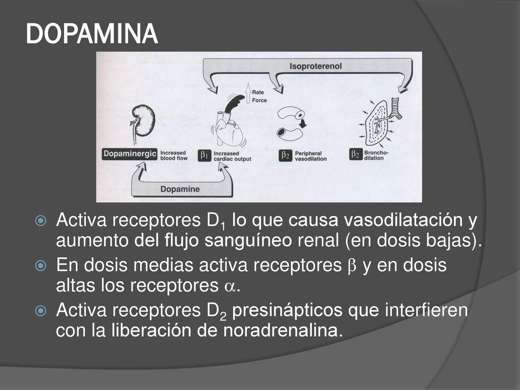 DOPAMINA Activa receptores D1 lo que causa vasodilatación y aumento del flujo sanguíneo renal (en dosis bajas).