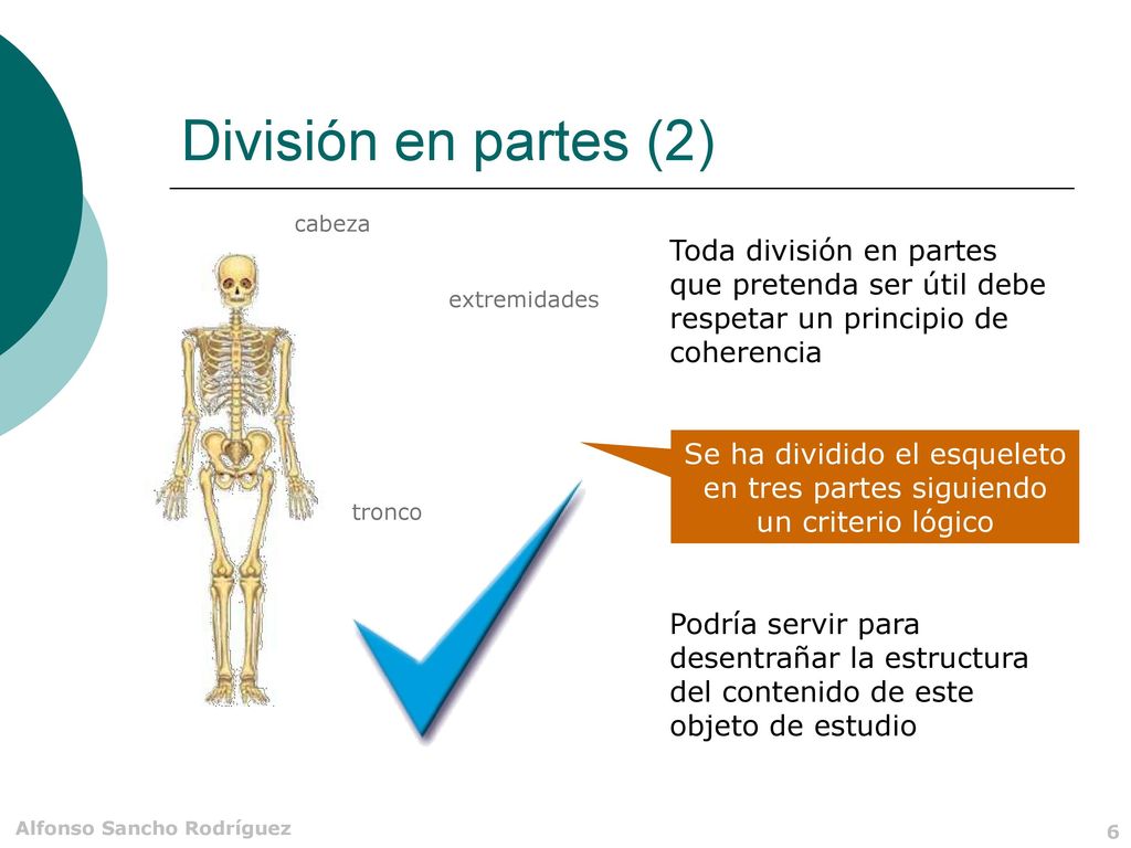 División en partes (2) cabeza. Toda división en partes que pretenda ser útil debe respetar un principio de coherencia.