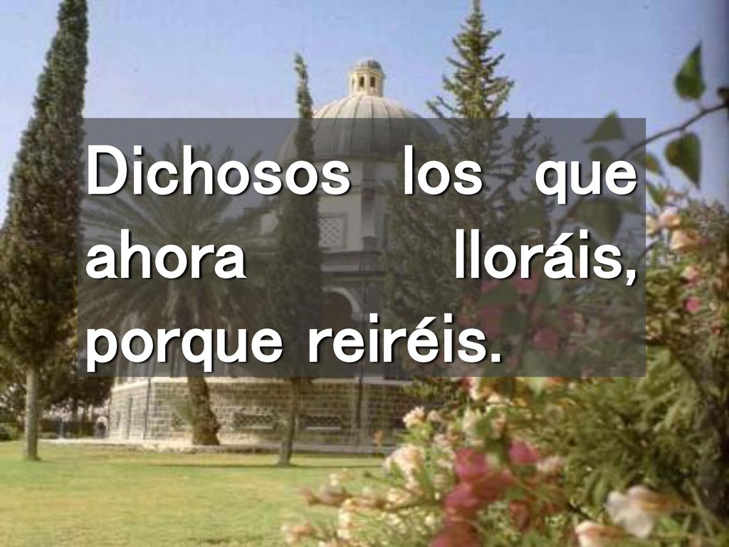 Dichosos los que ahora lloráis, porque reiréis.
