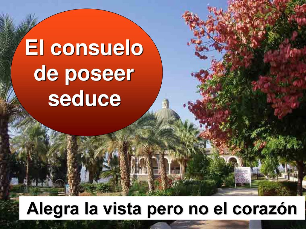 El consuelo de poseer seduce Alegra la vista pero no el corazón