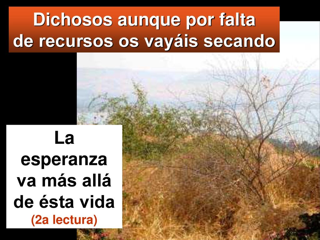 Dichosos aunque por falta de recursos os vayáis secando