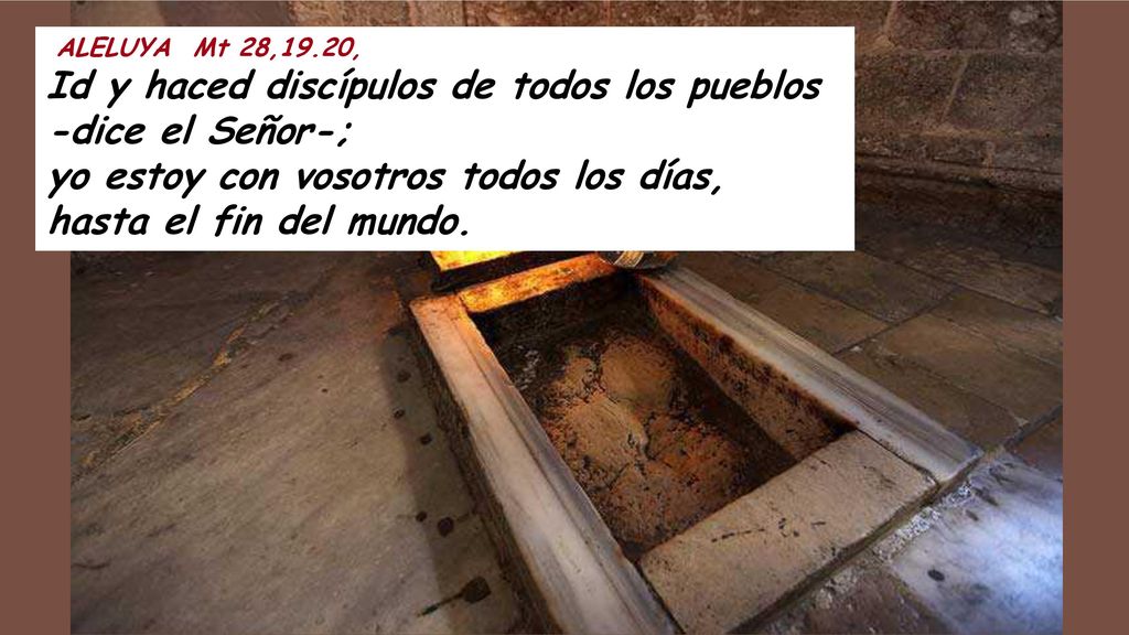 ALELUYA Mt 28,19.20, Id y haced discípulos de todos los pueblos -dice el Señor-; yo estoy con vosotros todos los días, hasta el fin del mundo.